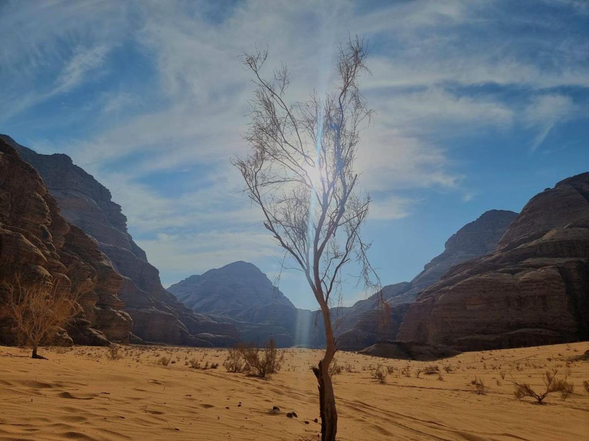 Wadi Rum Oscar Camp Dış mekan fotoğraf